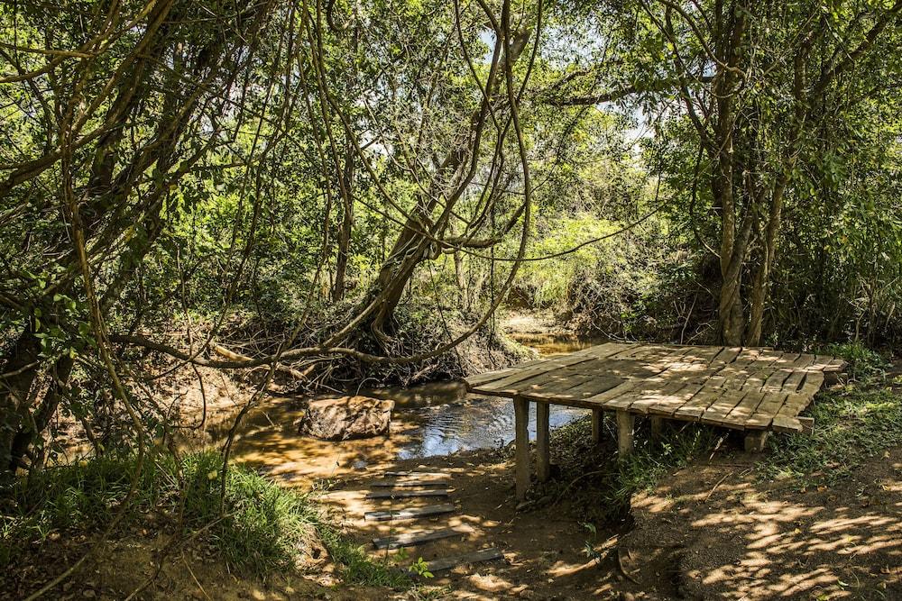 Amaara Forest Hotel Sigiriya Eksteriør billede
