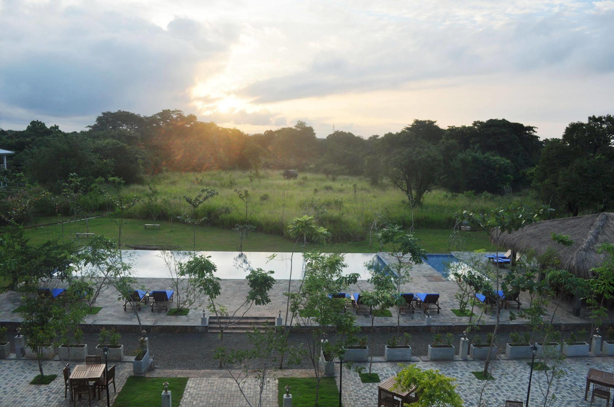 Amaara Forest Hotel Sigiriya Eksteriør billede