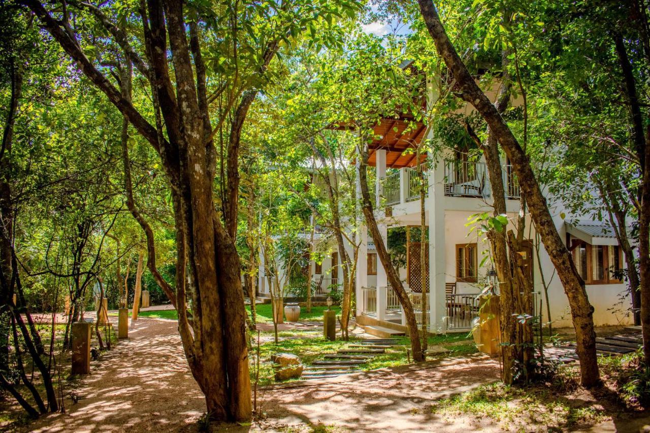 Amaara Forest Hotel Sigiriya Eksteriør billede
