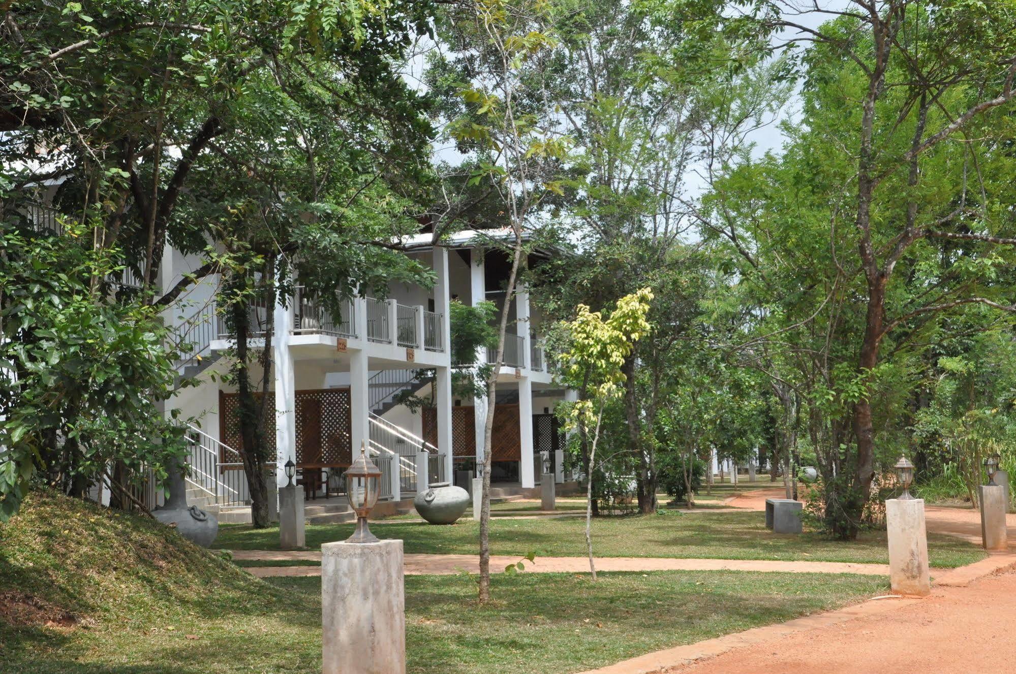 Amaara Forest Hotel Sigiriya Eksteriør billede