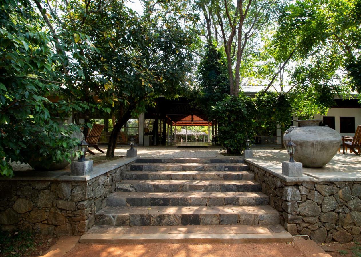 Amaara Forest Hotel Sigiriya Eksteriør billede