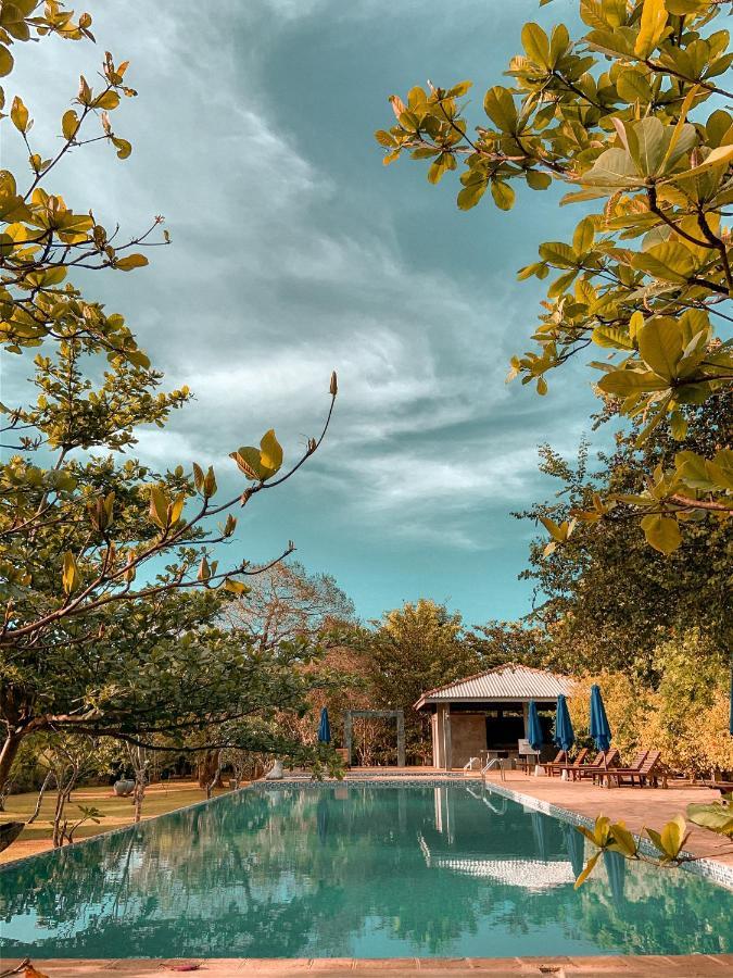 Amaara Forest Hotel Sigiriya Eksteriør billede